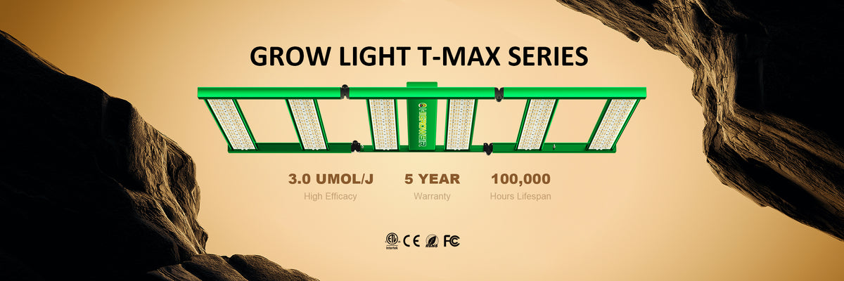 Premium Lighting Online
